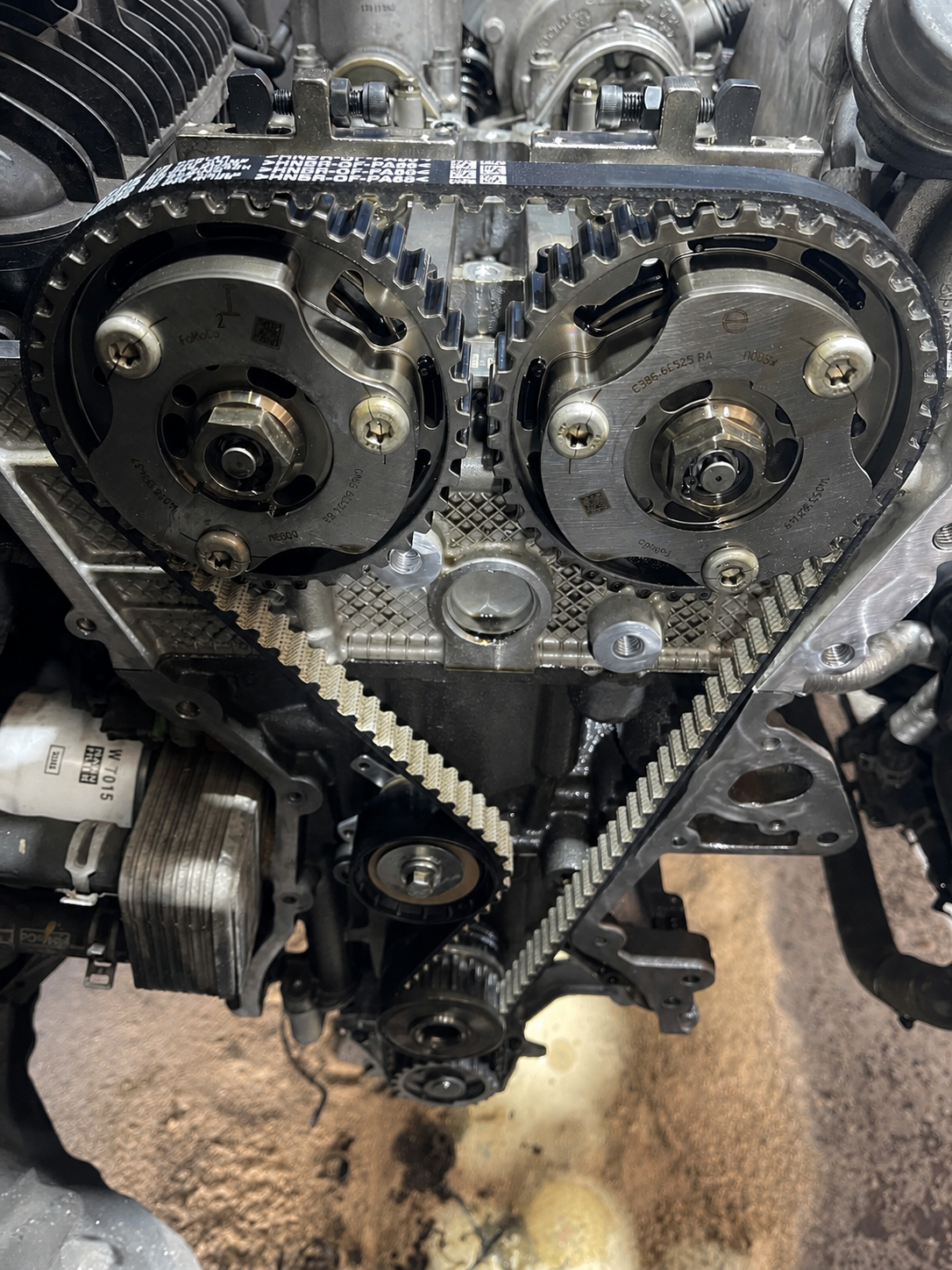 Exposed wet belt timing assembly during an engine repair